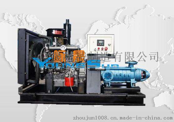 柴油水泵100ZS100-40-22-2双吸排污泵