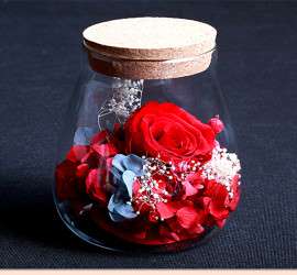 微景观玻璃瓶 水滴型永生花瓶 高硼硅不带灯玻璃瓶 茶叶密封罐